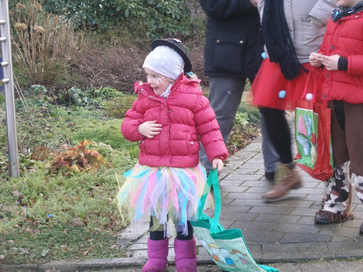 Rosenmontag 2018 (258).JPG